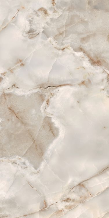 Reves Noisette Matte 24 x 48